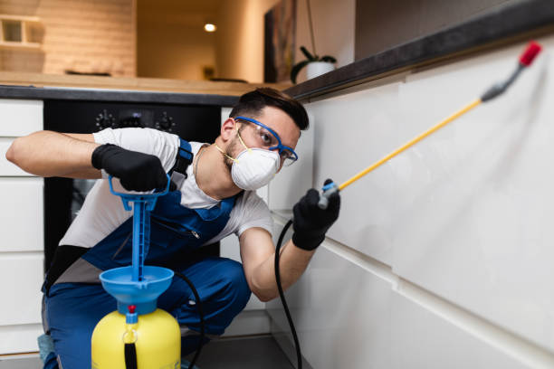 Best Residential Pest Control  in Eastern Goleta Valley, CA