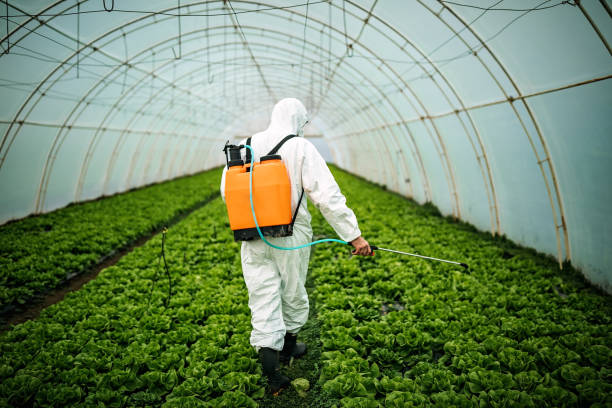 Best Best Pest Control Companies  in Eastern Goleta Valley, CA