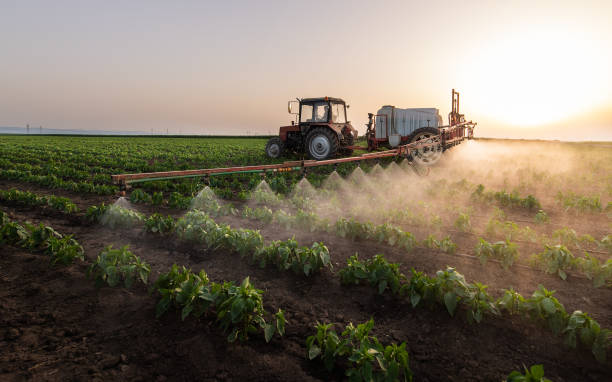 Professional Pest Control in Eastern Goleta Valley, CA