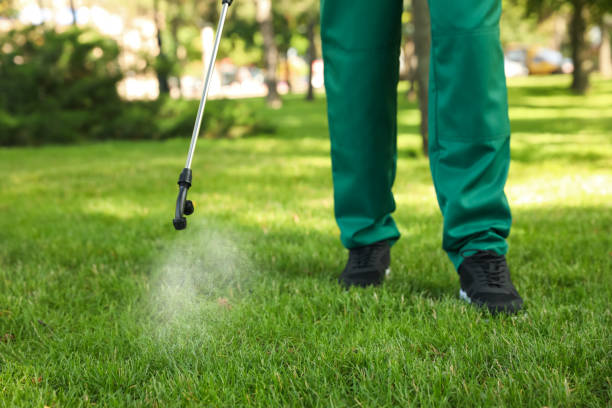 Best Mosquito Control Services  in Eastern Goleta Valley, CA