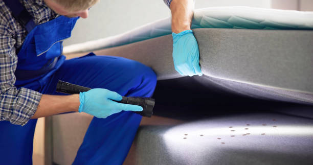 Best Ant Control Services  in Eastern Goleta Valley, CA